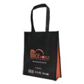 Non-woven Bag